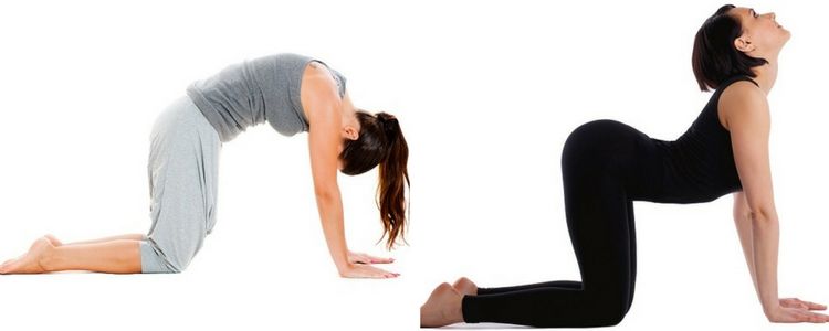 3 Yoga Poses for Tight, Rounded Shoulders - Peanut Butter Runner