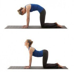 https://cdn.doyou.com/articles/Kristin-Cat-Cow-Pose-Marjaryasana-Bitilasana-e1443694807866-1514491392037.jpg=w1080