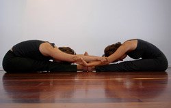 Partner Seated Forward Bend