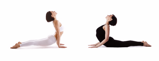 The Difference Between Upward Facing Dog And Cobra Pose Doyou