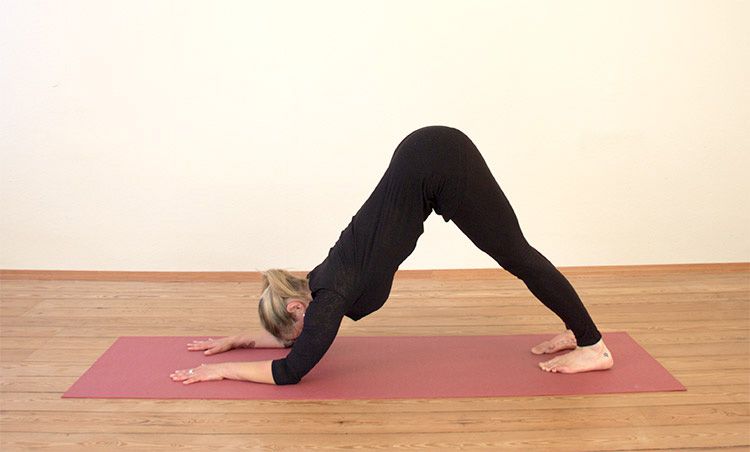 Dolphin yoga pose