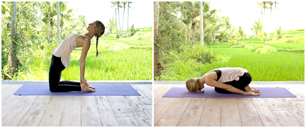 Same Shape, Different Pose: Bridge, Camel, and Bow