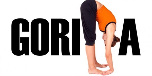 Gorilla-Pose-Padahastasana