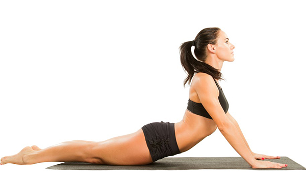 Seal Pose Bhujangasana