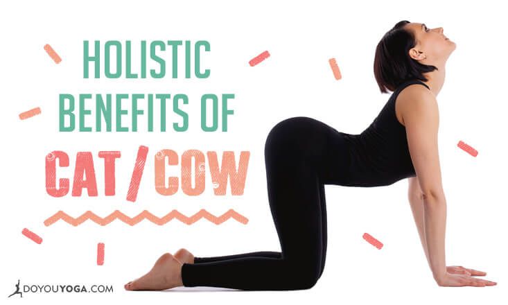 The Holistic Benefits Of Cat Cow Pose Doyou