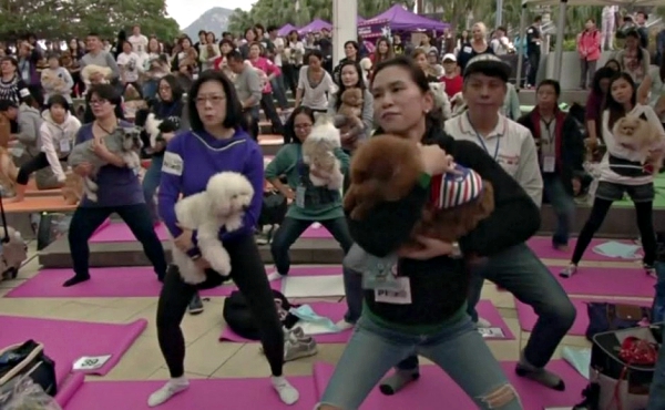 yoga world record-largest doga class